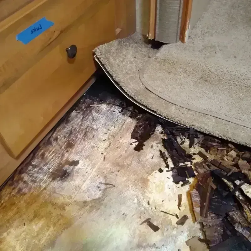 Wood Floor Water Damage in Troy, MI